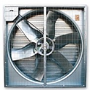 itlik fan & depo fan